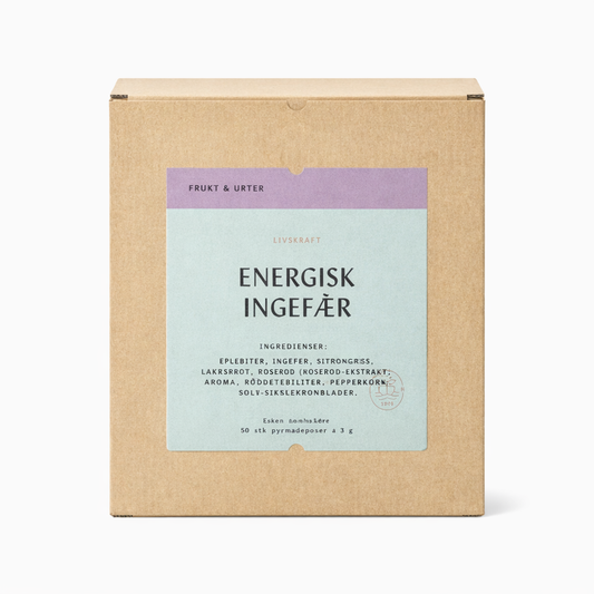 Solberg & Hansen Energisk Ingefær | Koffeinfri te (Grossistforpakning - 50 stk)